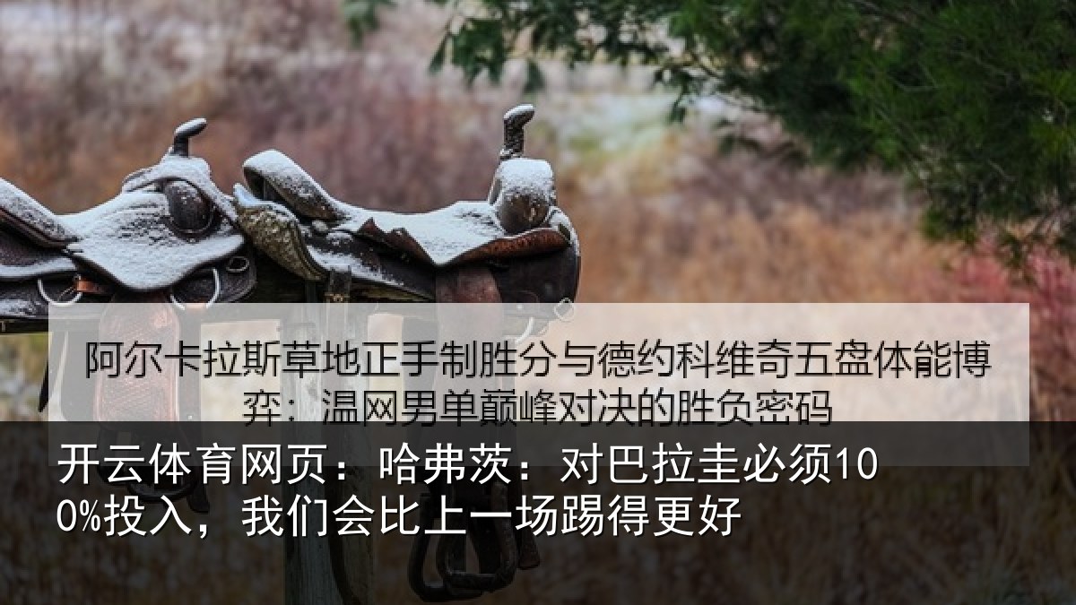 开云体育网页:哈弗相关情况入我相关情况更好