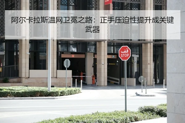 a-er-ka-la-si-wen-wang-wei-mian-zhi-lu-zheng-shou-ya-po-xing-ti-sheng-cheng-guan-jian-wu-qi-2-213.jpg