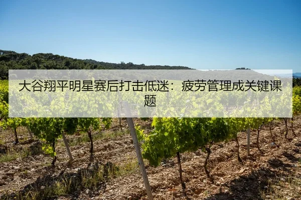 大谷翔平明星赛后打击低迷：疲劳管理成关键课题